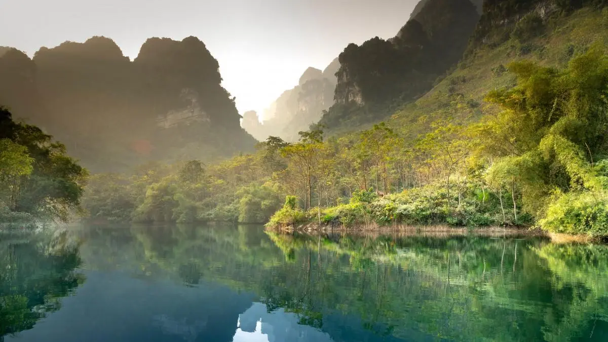 高端绿色精密